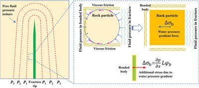 Fracturing criterion of rock hydrofracturing considering pore pressure effect